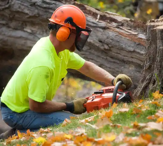 tree services Northport